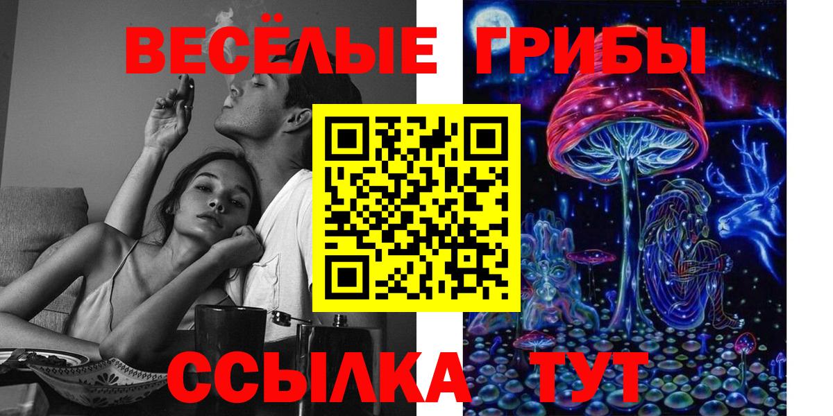 Ростов Великий  Псилоцибиновые грибы прущие грибы  Вход с VPN 